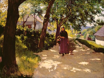 Die Reise von Tivadar Zemplenyi